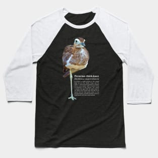 Peruvian thick-knee tropical bird white text Baseball T-Shirt